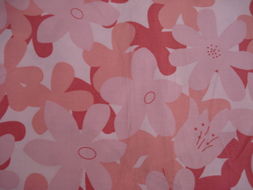 全棉棉布印花 盛港针纺织布业的发展与创新